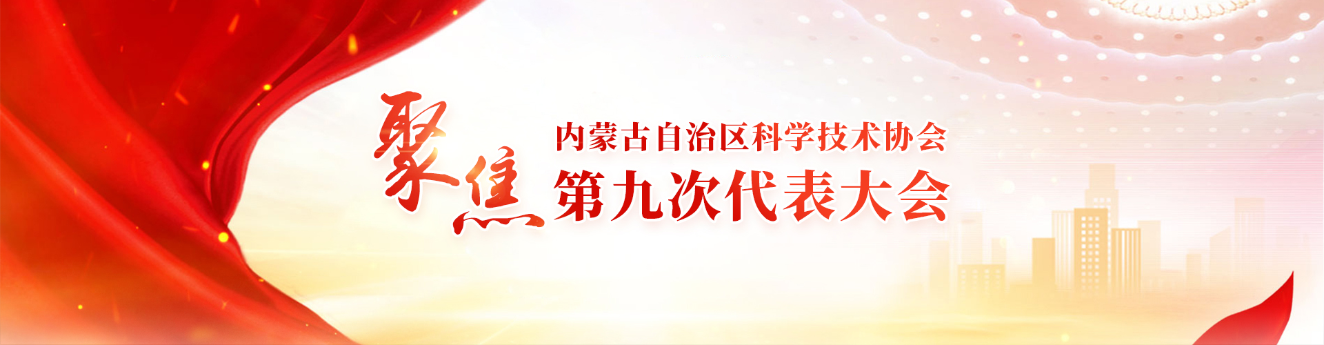 聚焦第九次代表大會(huì)